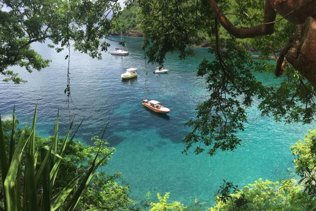 Le Marin - Bungalow Classe 3 Etoiles Tb Equipe & Confortable - Escapade En Couple - Paisible & En Toute Discretion - Wi-Fi - Climatisation - Calme & Serenite - Plages Du Sud, Centre De Carenage & Marina Du Marin Proche En Voiture - Acheminement Sur D 外观 照片