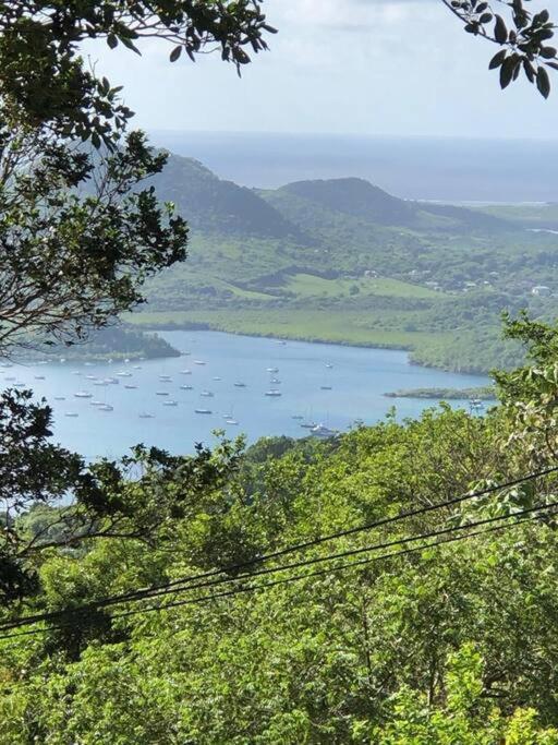Le Marin - Bungalow Classe 3 Etoiles Tb Equipe & Confortable - Escapade En Couple - Paisible & En Toute Discretion - Wi-Fi - Climatisation - Calme & Serenite - Plages Du Sud, Centre De Carenage & Marina Du Marin Proche En Voiture - Acheminement Sur D 外观 照片